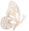 BEAUTIFLY